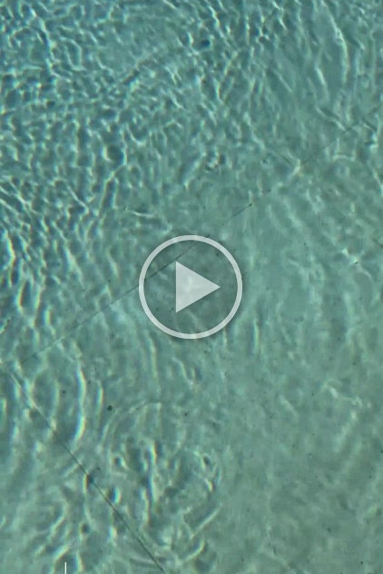 2024-01-03 Arto pool